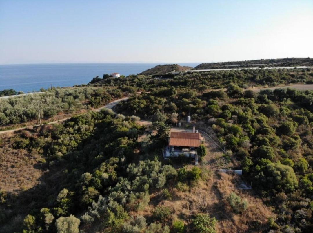 Real Holidays Antoniadou - Rustic House Ferienhaus