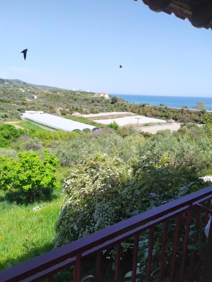 Real Holidays Antoniadou - Rustic House Ferienhaus *